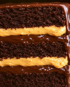 Ember cake cross-section — dark chocolate sponge, salted caramel cream, chocolate ganache — crmb., view 2